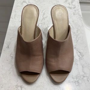 Franco Sarto mules